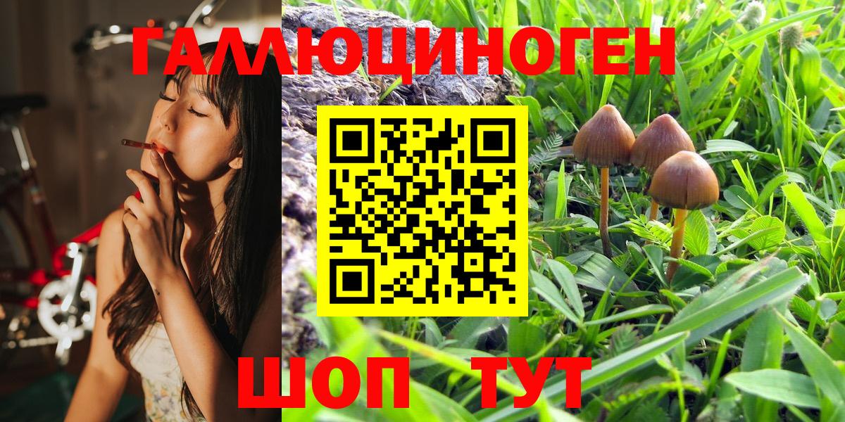 Ессентуки  Галлюциногенные грибы MAGIC MUSHROOMS  Вход с VPN 